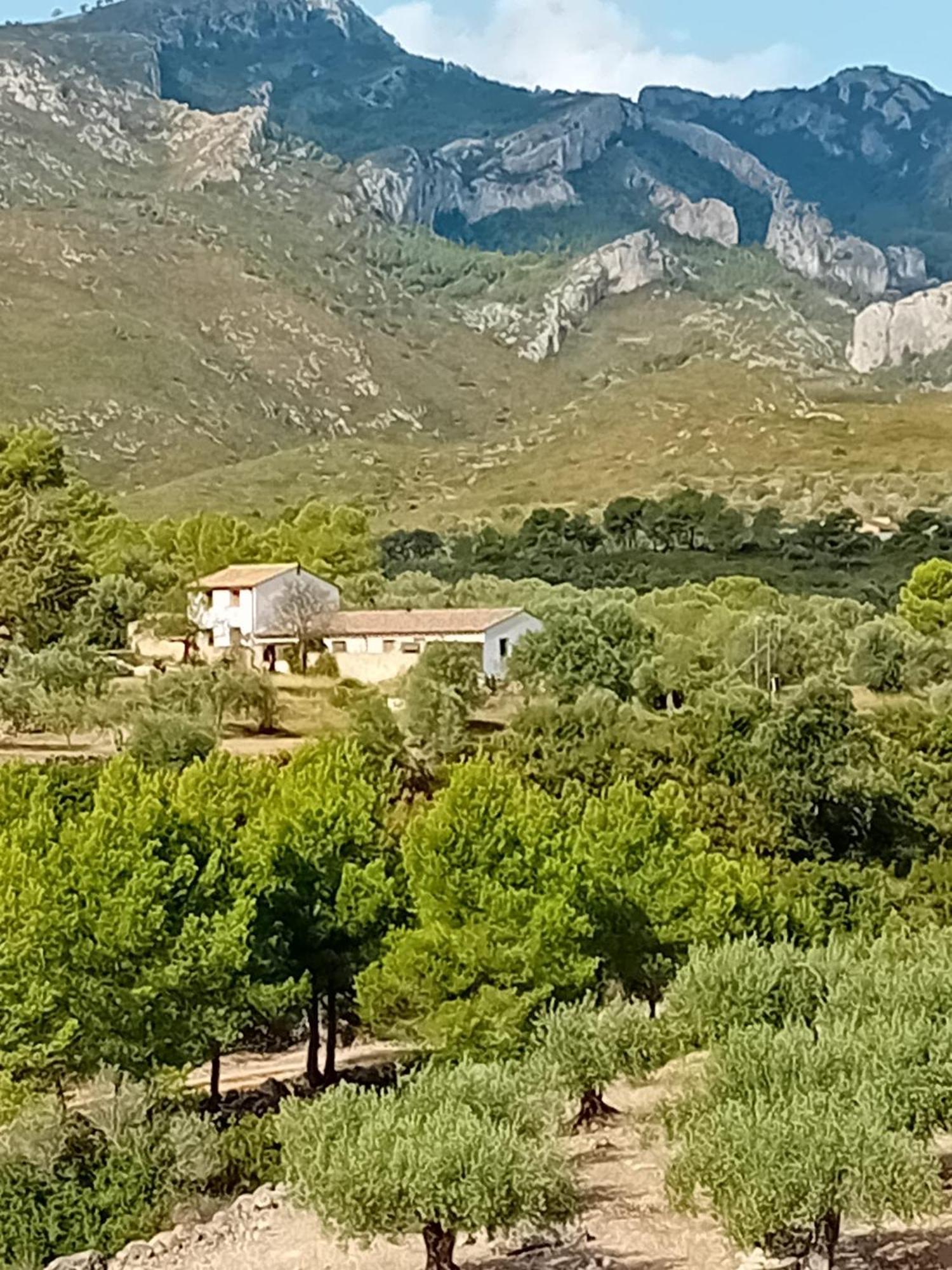 Casa Solans - Casa Rural Rasquera ภายนอก รูปภาพ